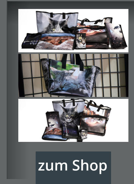 zum Shop