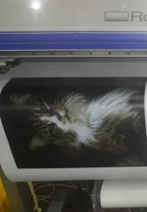 Druck auf Photopapier